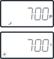 Asset_3.png